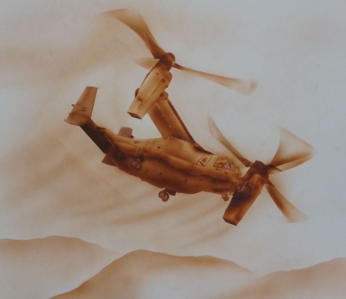 The Osprey