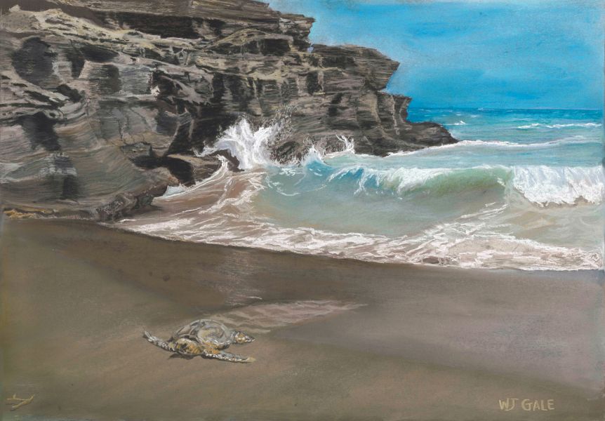 Green Beach
